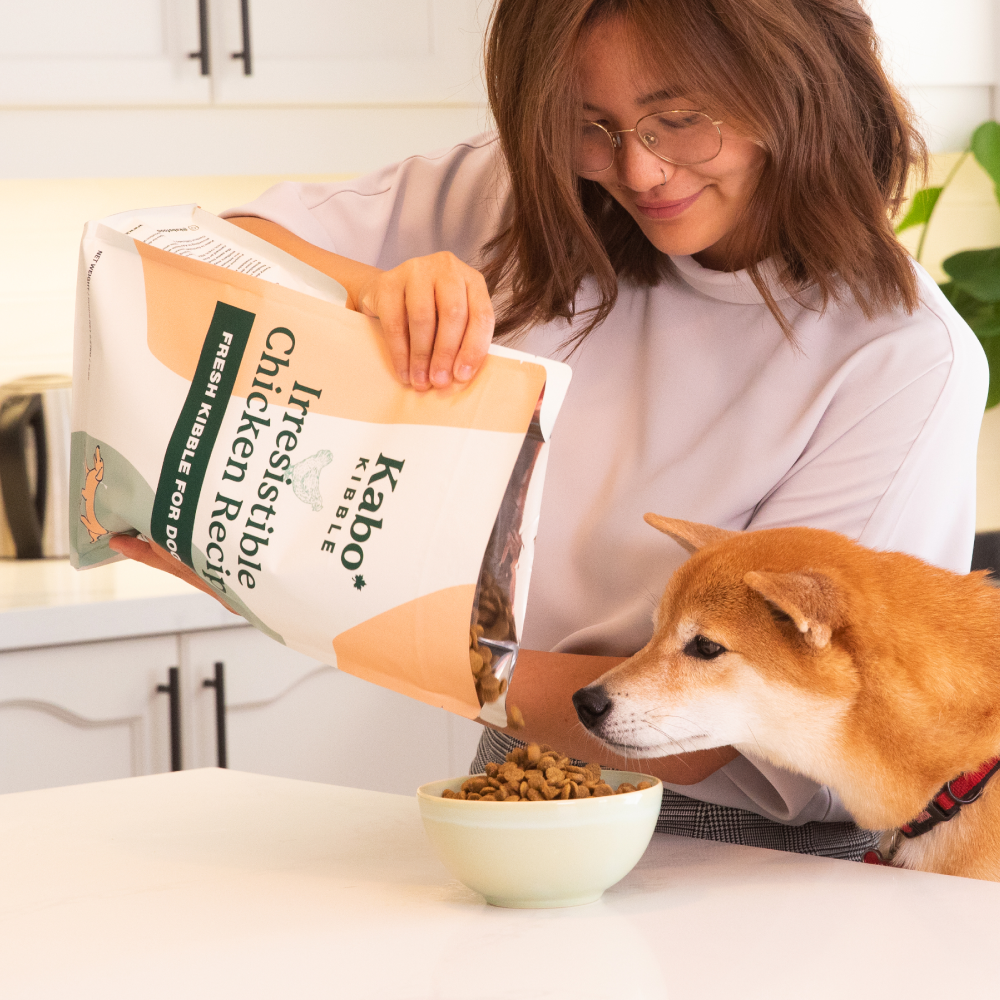 Fresh Kibble for Dogs | Kabo